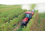 Case IH Quantum 85V 2014 года